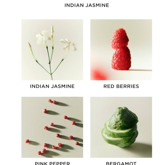 Nest New York diffuser- Indian jasmine - Picture 2 of 2